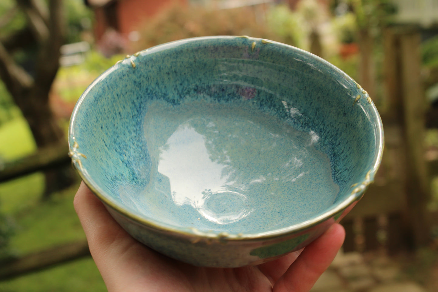 Porcelain Slip Trailed Bowl 12