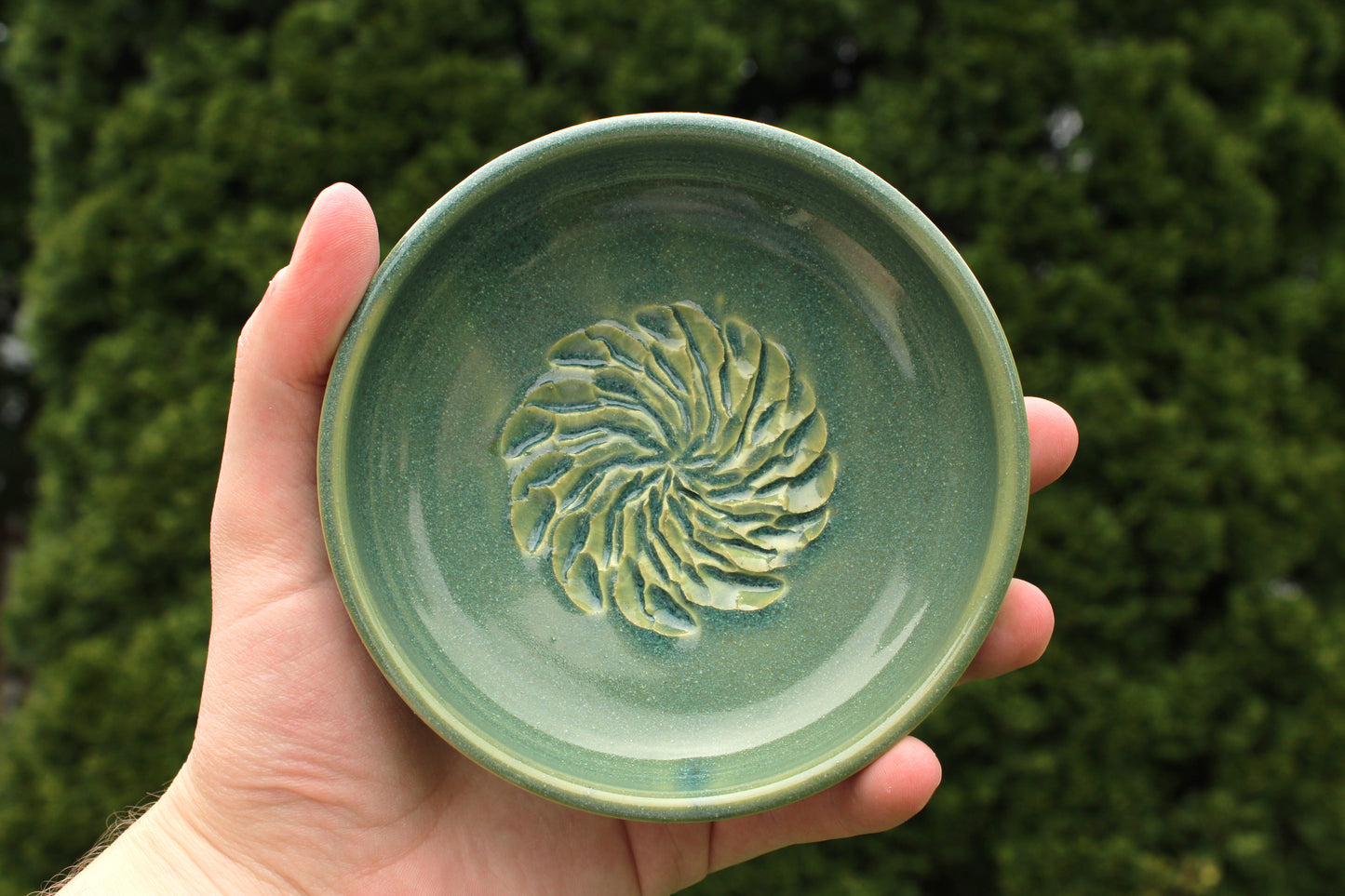 Garlic Grater - Sea Mist