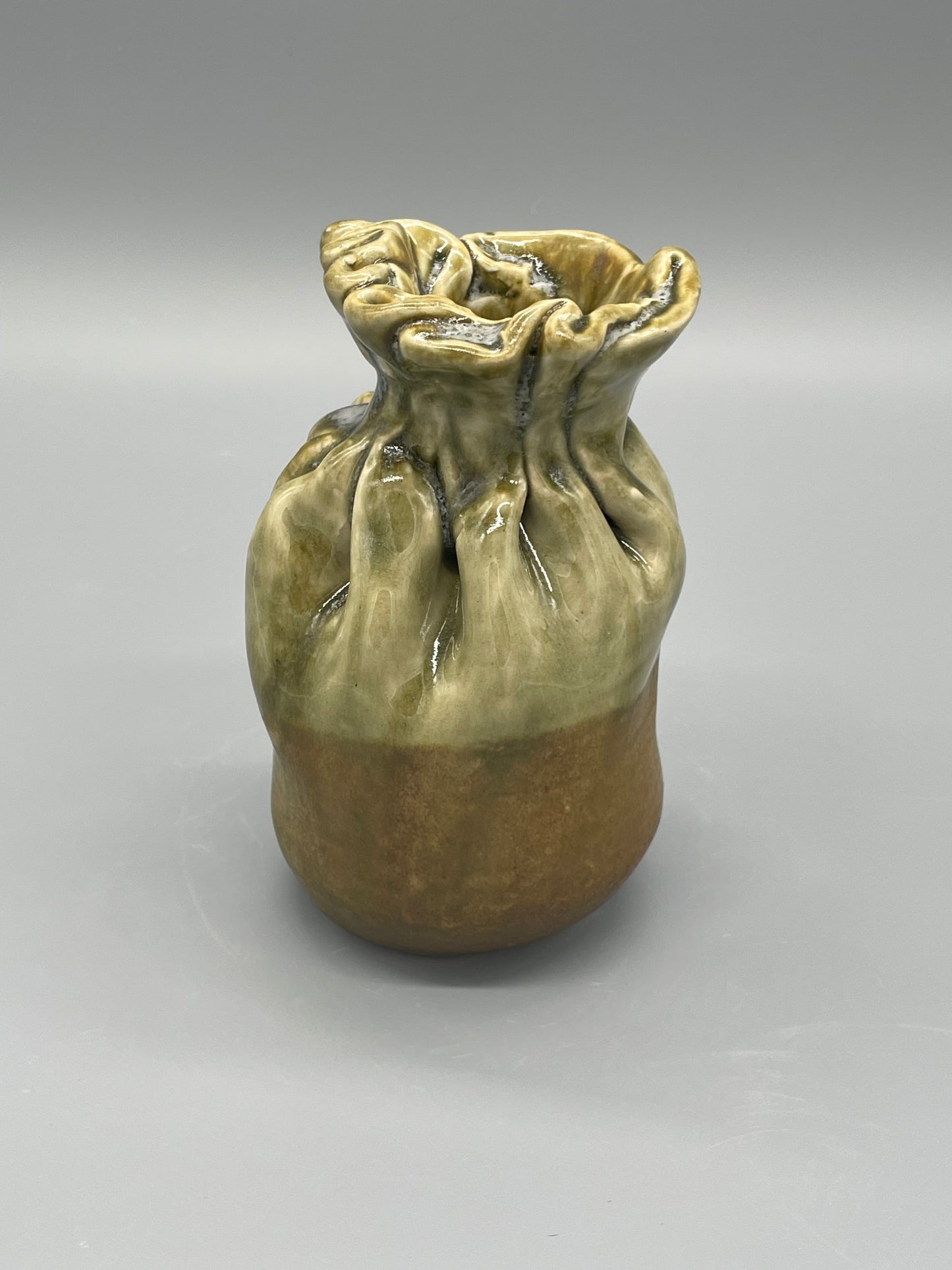 Bag Vase