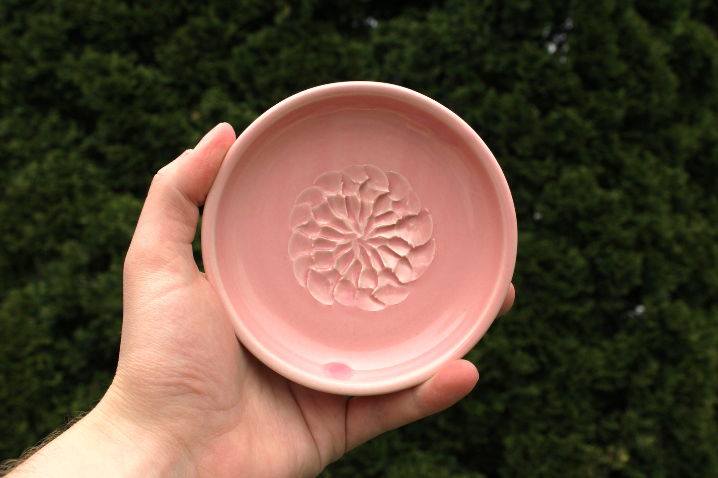 Garlic Grater - Pink