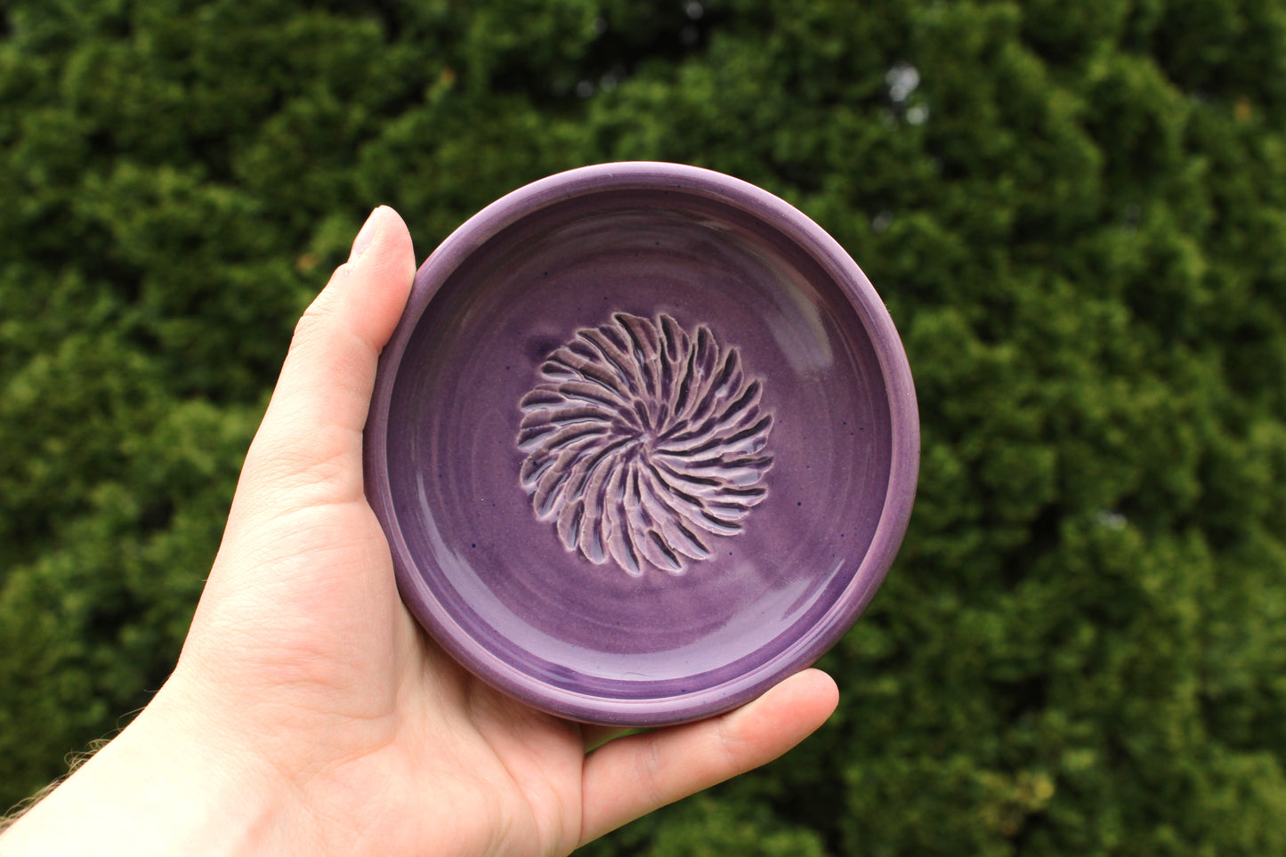 Garlic Grater - Purple