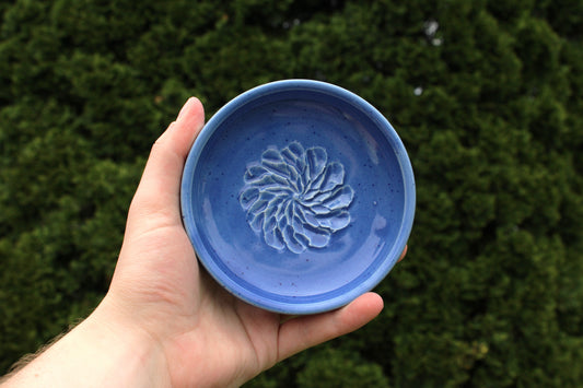 Garlic Grater - Blue